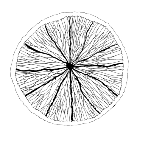 Pagination